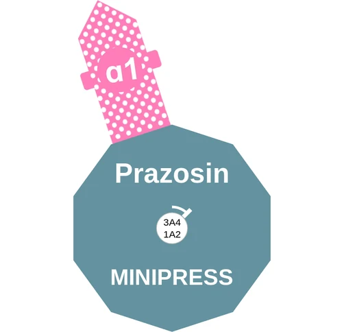 Prazosin ballicule: receptor binding, kinetics and half-life diagram