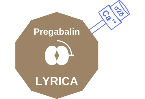 Pregabalin ballicule: receptor binding, kinetics and half-life diagram