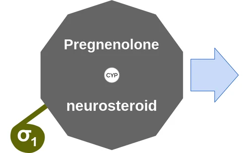 Pregnenolone ballicule — decagon mechanism diagram