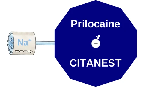 Prilocaine ballicule — decagon mechanism diagram
