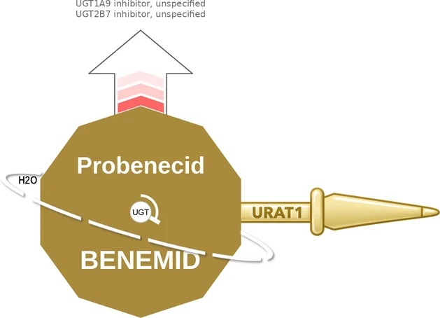 Probenecid ballicule: receptor binding, kinetics and half-life diagram