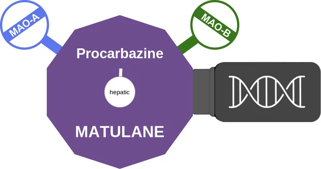 Procarbazine ballicule — decagon mechanism diagram