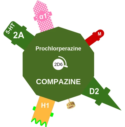 Prochlorperazine ballicule: receptor binding, kinetics and half-life diagram