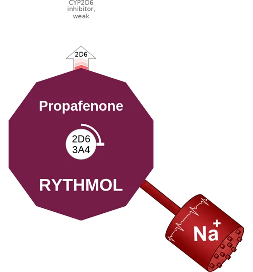 Propafenone ballicule: receptor binding, kinetics and half-life diagram
