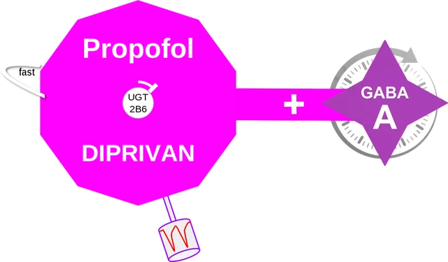 Propofol ballicule: receptor binding, kinetics and half-life diagram