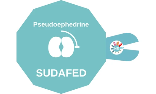 Pseudoephedrine ballicule: receptor binding, kinetics and half-life diagram
