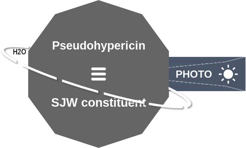 Pseudohypericin ballicule: receptor binding, kinetics and half-life diagram