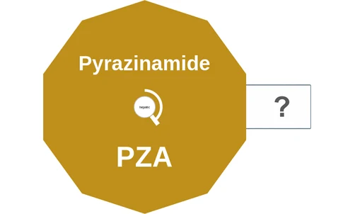 Pyrazinamide ballicule: receptor binding, kinetics and half-life diagram