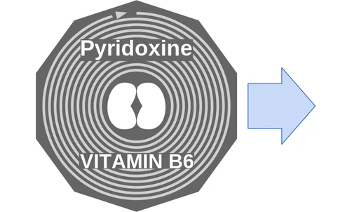 Pyridoxine ballicule — decagon mechanism diagram