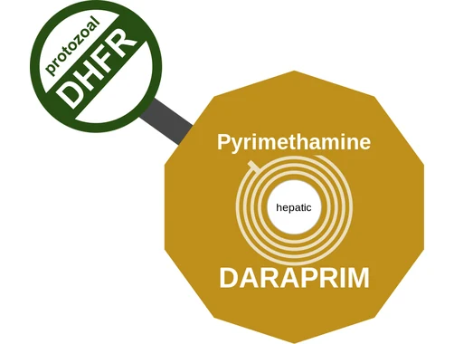 Pyrimethamine ballicule — decagon mechanism diagram