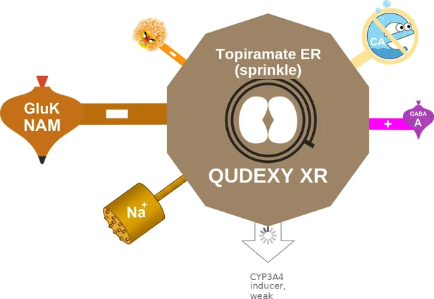 Topiramate ER (sprinkle) ballicule: receptor binding, kinetics and half-life diagram