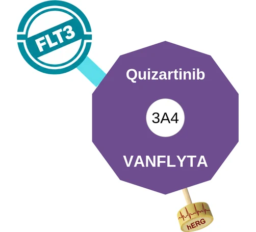 Quizartinib ballicule: receptor binding, kinetics and half-life diagram