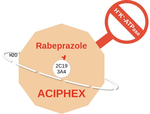 Rabeprazole ballicule — decagon mechanism diagram