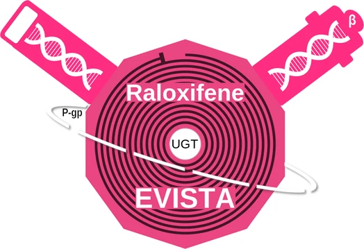 Raloxifene ballicule — decagon mechanism diagram