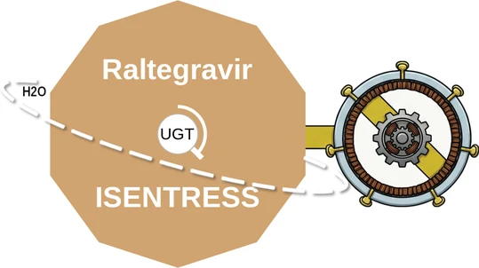 Raltegravir ballicule — decagon mechanism diagram