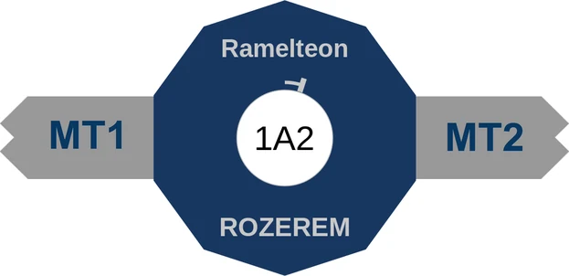 Ramelteon ballicule: receptor binding, kinetics and half-life diagram
