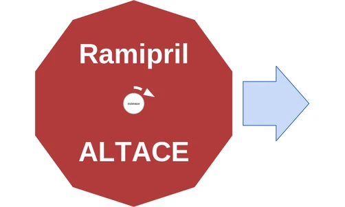 Ramipril ballicule — decagon mechanism diagram