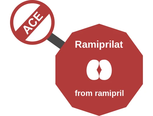 Ramiprilat ballicule: receptor binding, kinetics and half-life diagram