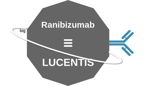 Ranibizumab ballicule: receptor binding, kinetics and half-life diagram