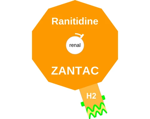 Ranitidine ballicule: receptor binding, kinetics and half-life diagram