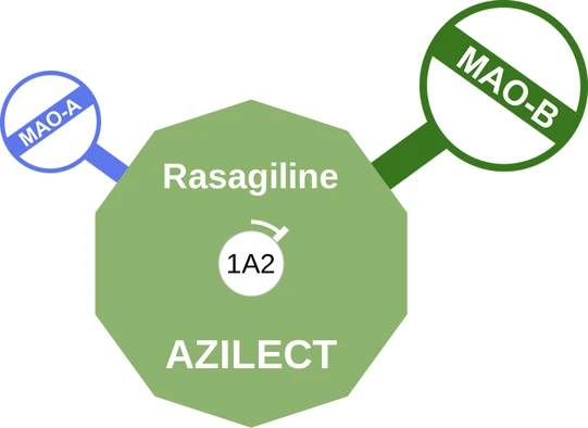 Rasagiline ballicule: receptor binding, kinetics and half-life diagram