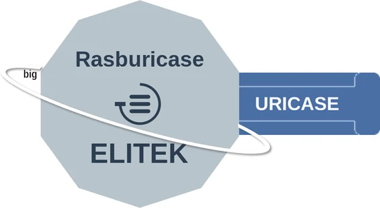 Rasburicase ballicule: receptor binding, kinetics and half-life diagram