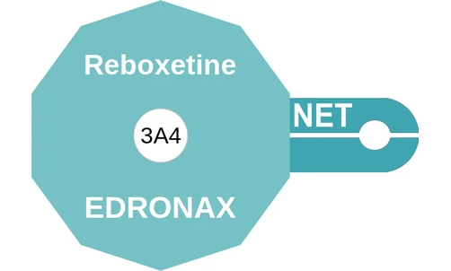 Reboxetine ballicule — decagon mechanism diagram
