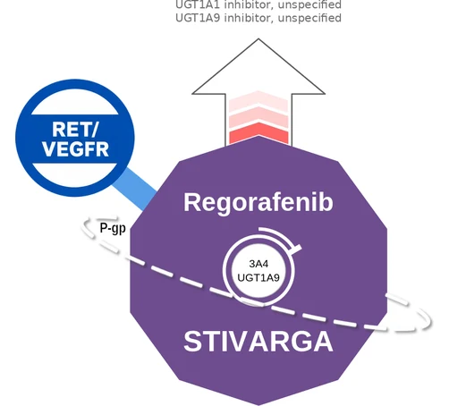 Regorafenib ballicule: receptor binding, kinetics and half-life diagram