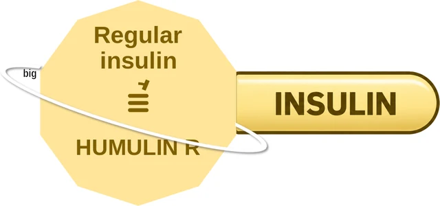 Regular insulin ballicule: receptor binding, kinetics and half-life diagram