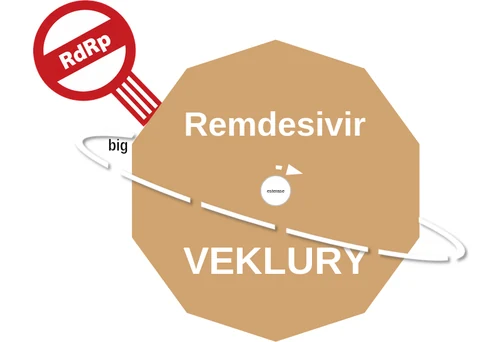 Remdesivir ballicule: receptor binding, kinetics and half-life diagram