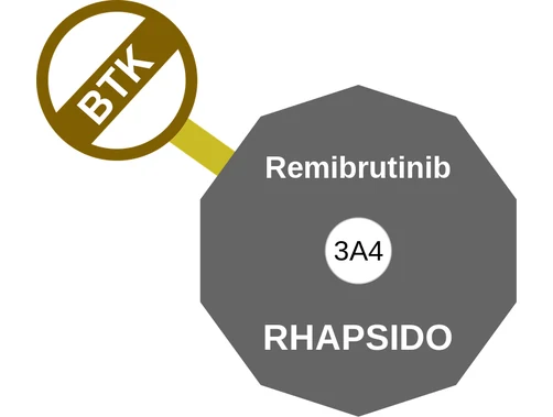 Remibrutinib ballicule: receptor binding, kinetics and half-life diagram