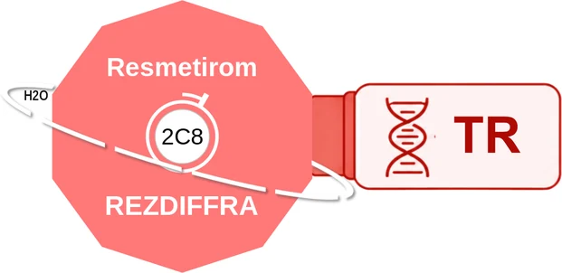 Resmetirom ballicule — decagon mechanism diagram