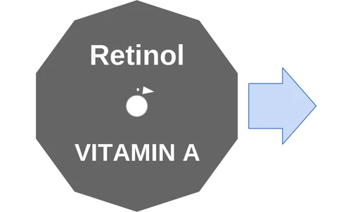 Retinol ballicule: receptor binding, kinetics and half-life diagram