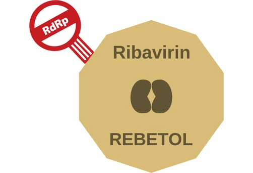 Ribavirin ballicule: receptor binding, kinetics and half-life diagram