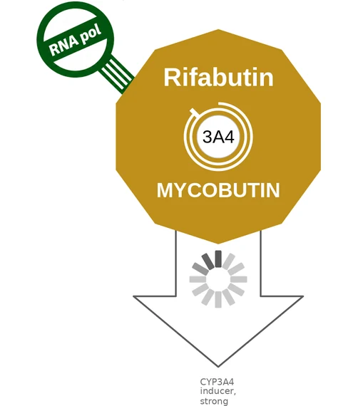Rifabutin ballicule — decagon mechanism diagram