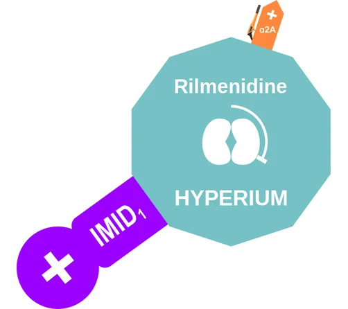 Rilmenidine ballicule: receptor binding, kinetics and half-life diagram