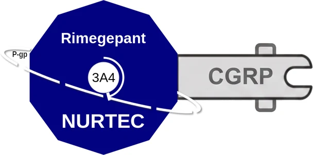 Rimegepant ballicule — decagon mechanism diagram