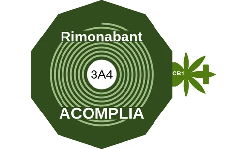 Rimonabant ballicule — decagon mechanism diagram