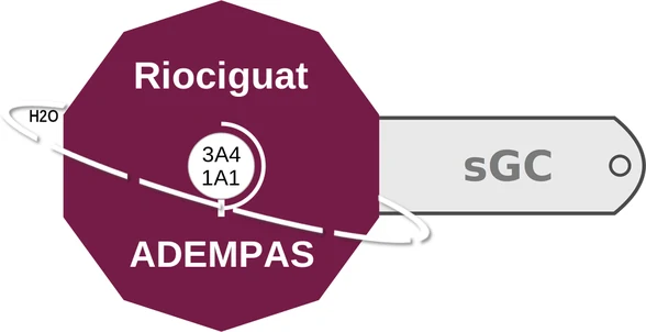 Riociguat ballicule — decagon mechanism diagram