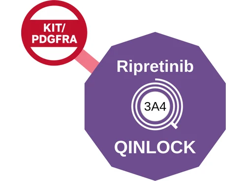 Ripretinib ballicule: receptor binding, kinetics and half-life diagram