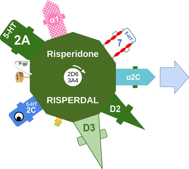 Risperidone ballicule: receptor binding, kinetics and half-life diagram