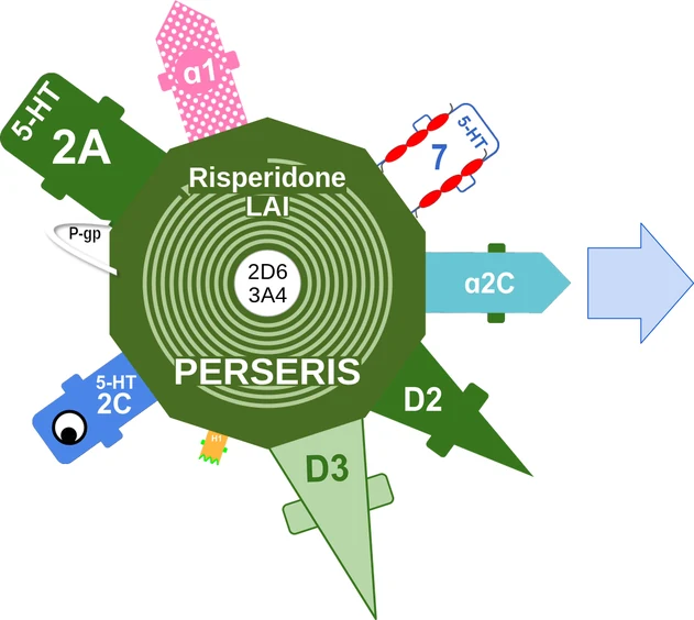 Risperidone LAI ballicule: receptor binding, kinetics and half-life diagram