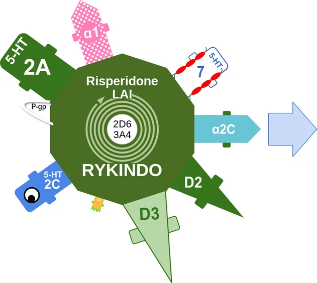 Risperidone LAI ballicule — decagon mechanism diagram
