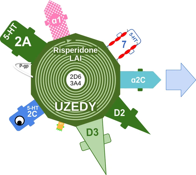 Risperidone LAI ballicule: receptor binding, kinetics and half-life diagram