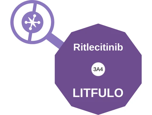 Ritlecitinib ballicule: receptor binding, kinetics and half-life diagram