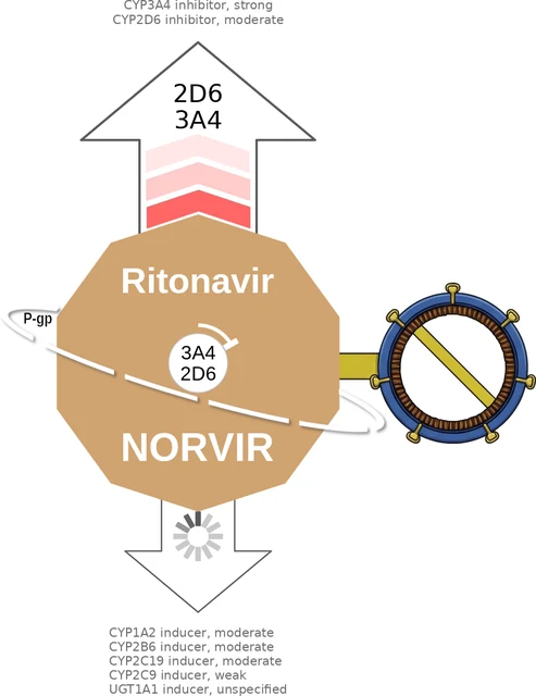 Ritonavir ballicule — decagon mechanism diagram