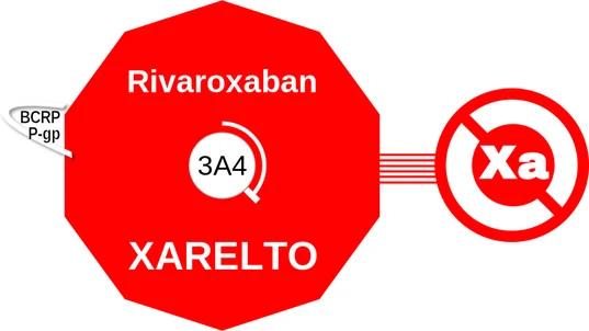 Rivaroxaban ballicule: receptor binding, kinetics and half-life diagram