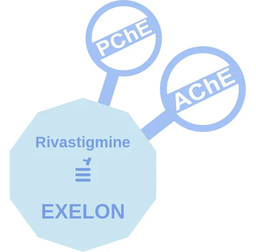 Rivastigmine ballicule — decagon mechanism diagram