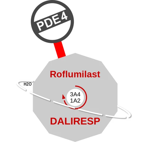 Roflumilast ballicule — decagon mechanism diagram
