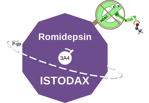 Romidepsin ballicule: receptor binding, kinetics and half-life diagram